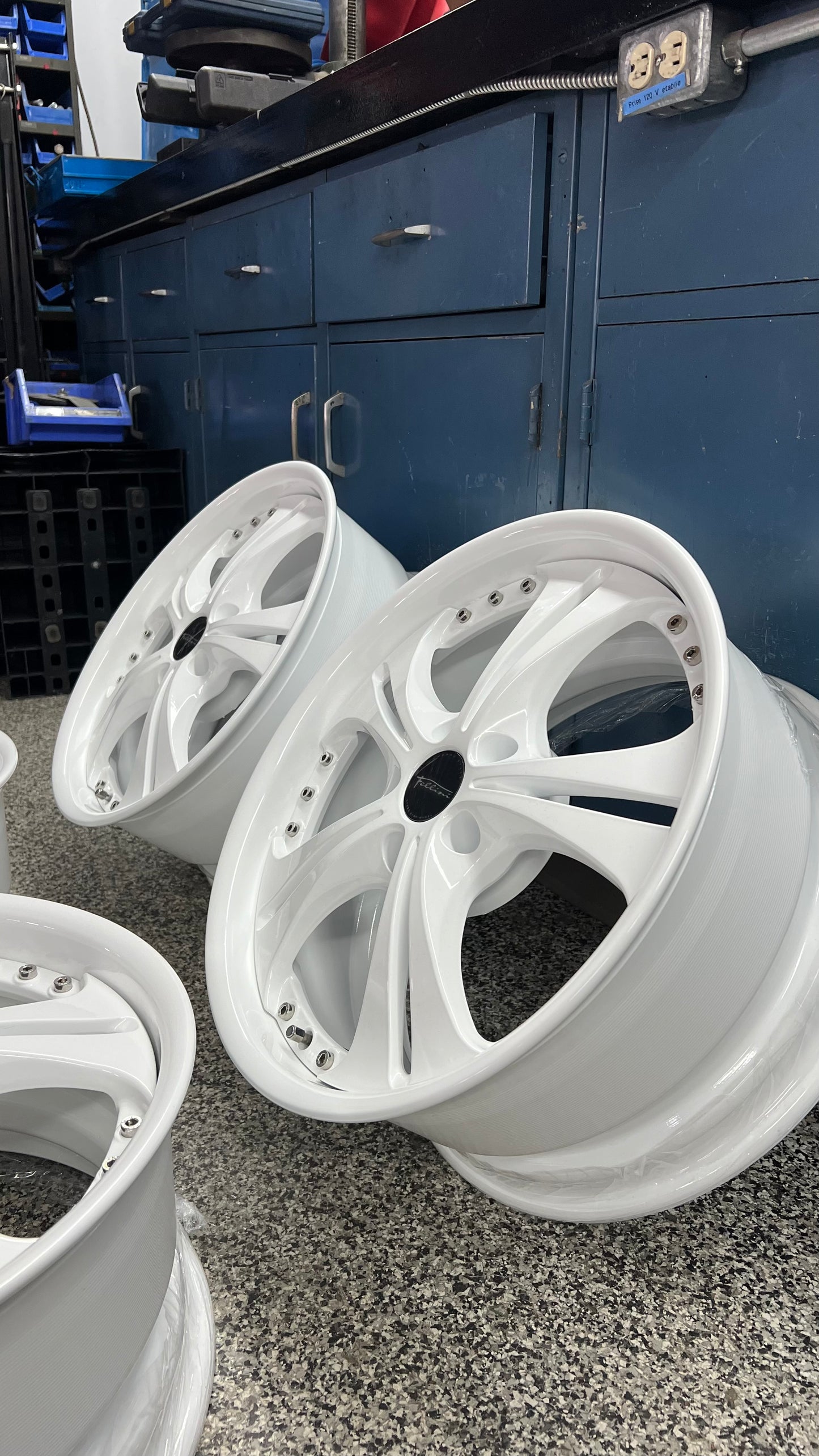 SSR Fellini LS5 18''